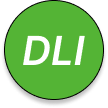 Digital Ledger Insights